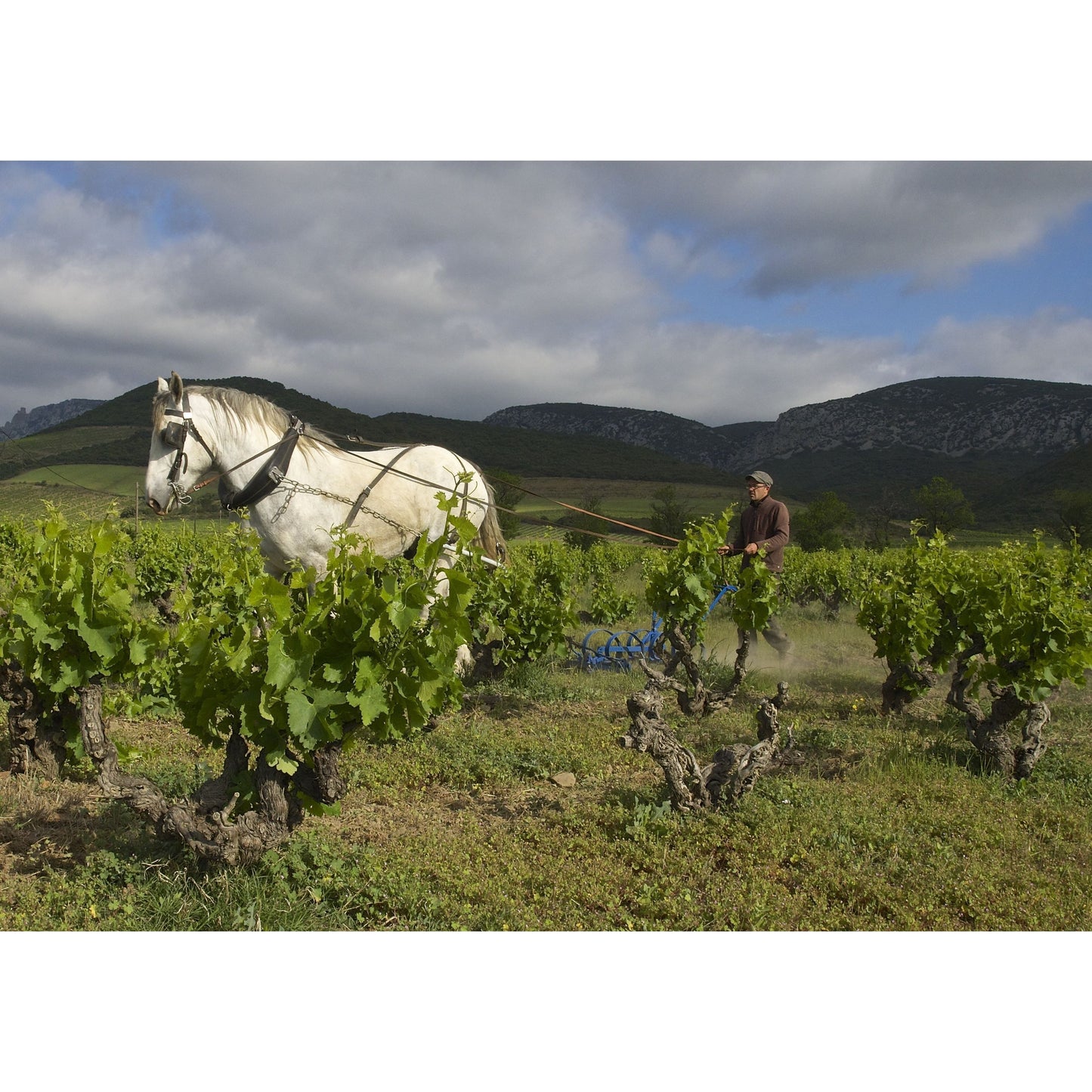 Chateau Jean Faure Saint-Emilion Grand Cru Classe 2019