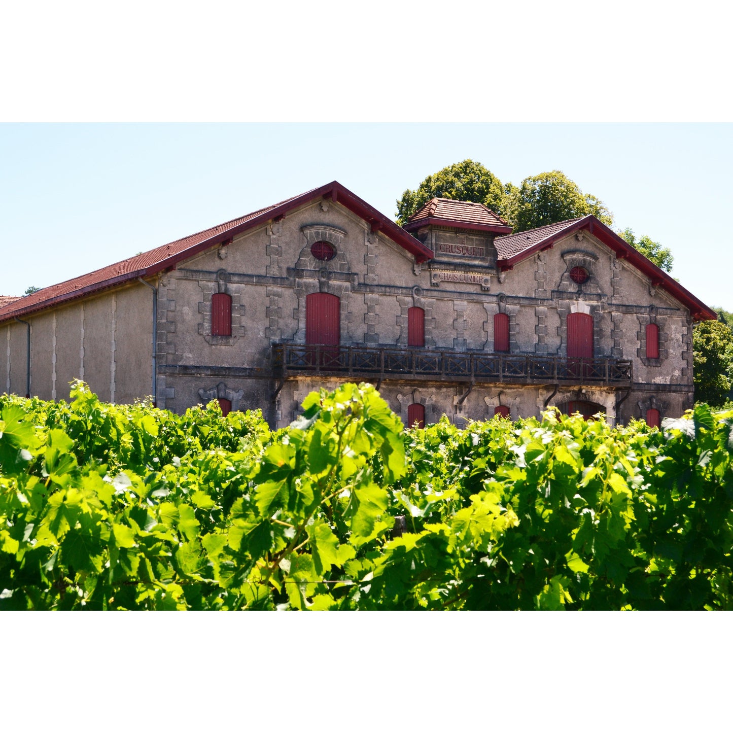 Chateau Crusquet de Lagarcie Blaye-Cotes de Bordeaux 2019