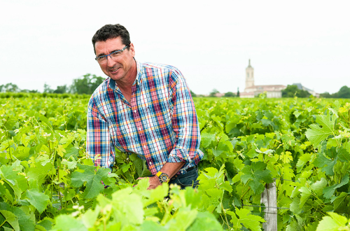 Chateau Moulin de la Rose Saint-Julien 2018