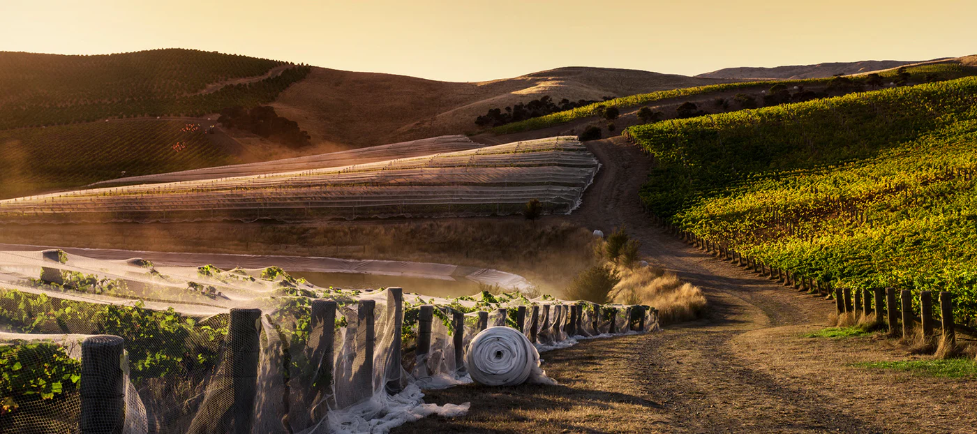 Settlement Heritage Vineyard Sauvignon Blanc 2022