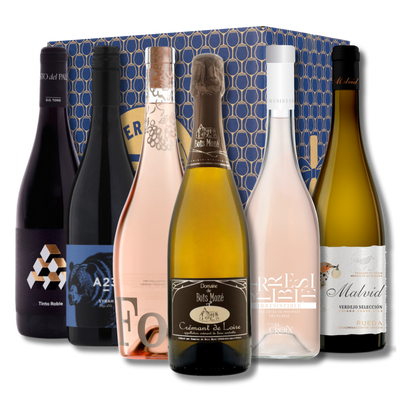 BBQ Wine Mixed Case – Perfect Wines for Grilling Season