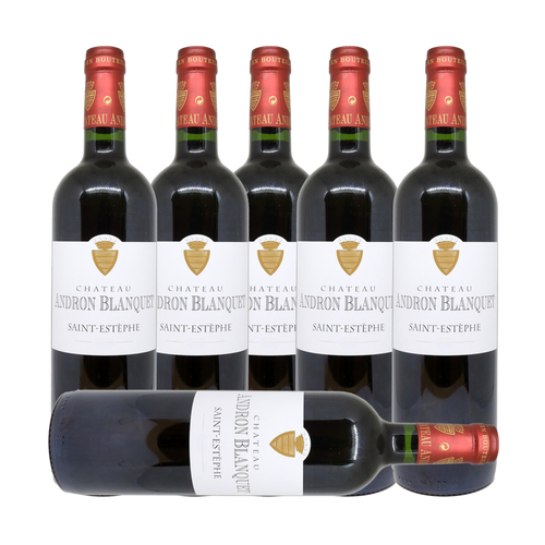 Chateau Andron-Blanquet Saint-Estephe 2016 (6 Bottle Case)