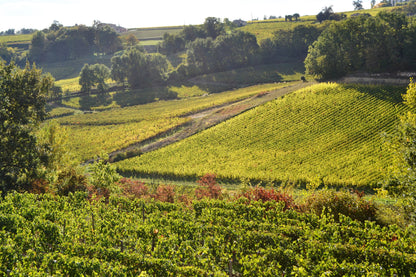 Enclos de Viaud Lalande-de-Pomerol 2022