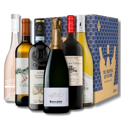 Perfect Cellar Starter Case