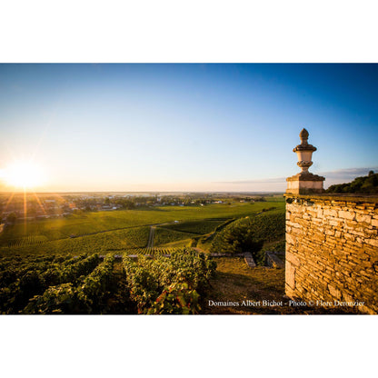 Chateau Gris Nuits Saint Georges 1er Cru Monopole 2019
