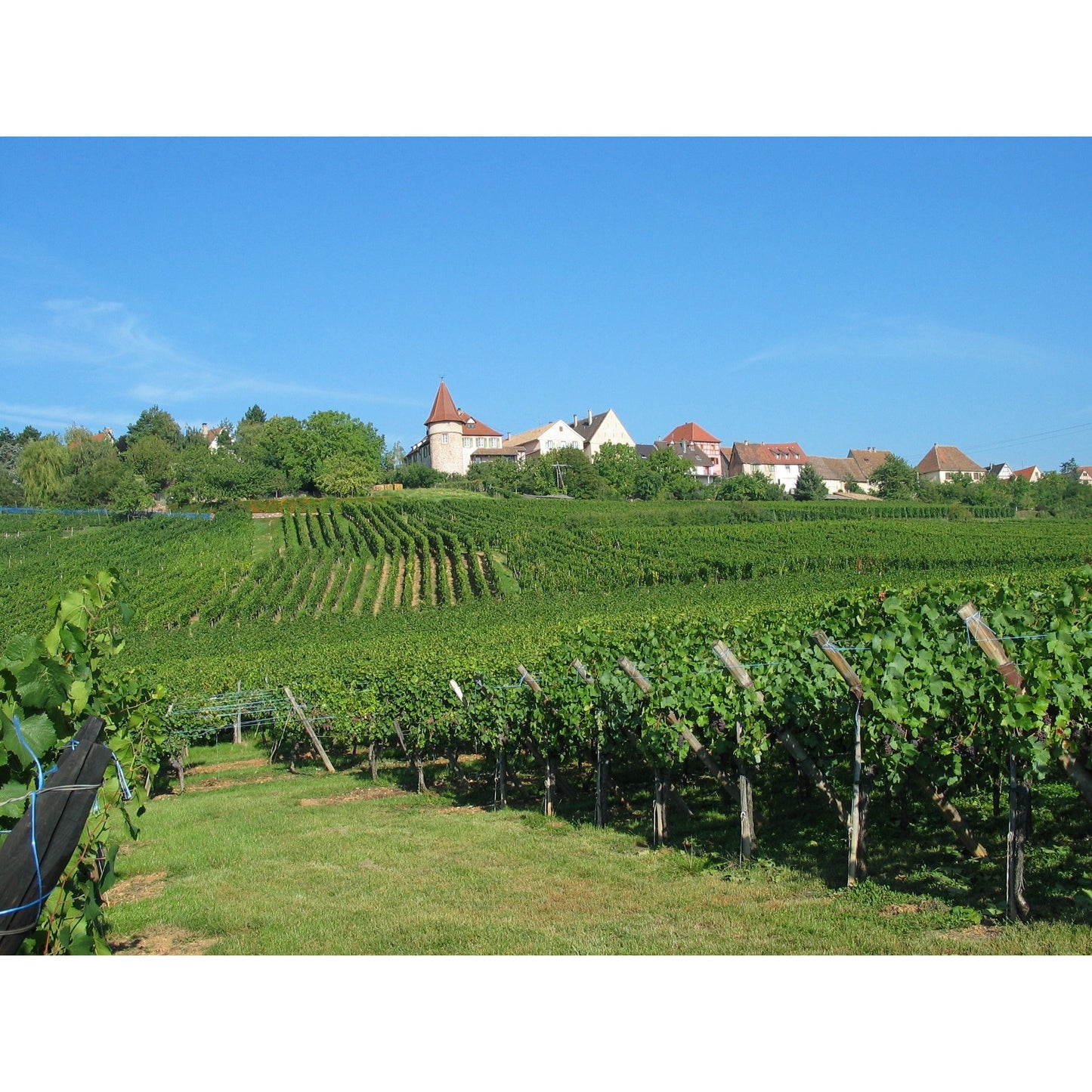 Domaine Edmond Rentz Cremant d'Alsace Brut Prestige Blanc de Blancs NV